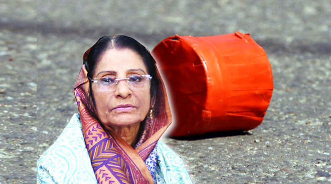 ফাইল ছবি